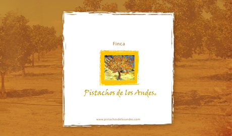 Pistachos de Los Andes